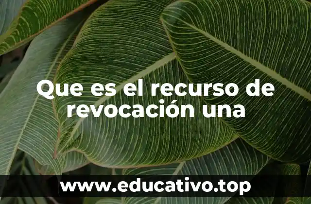Que es el recurso de revocación una