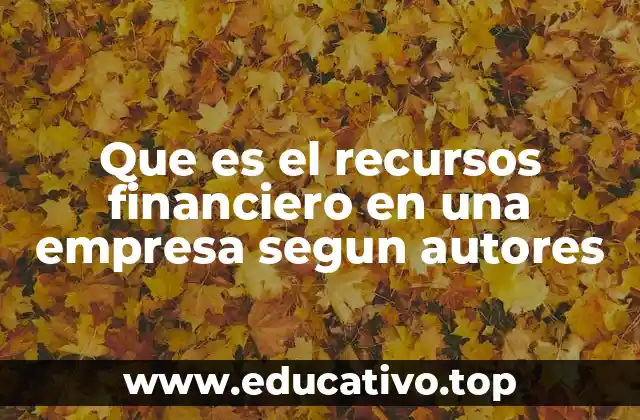 Que es el recursos financiero en una empresa segun autores