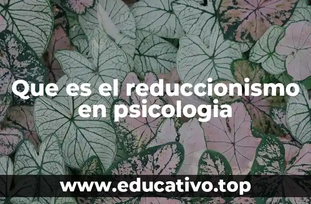 Que es el reduccionismo en psicologia