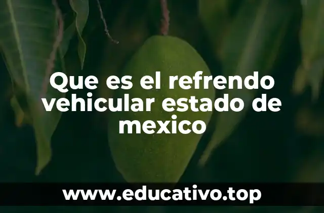 El proceso de renovación de documentos vehiculares en el Estado de México