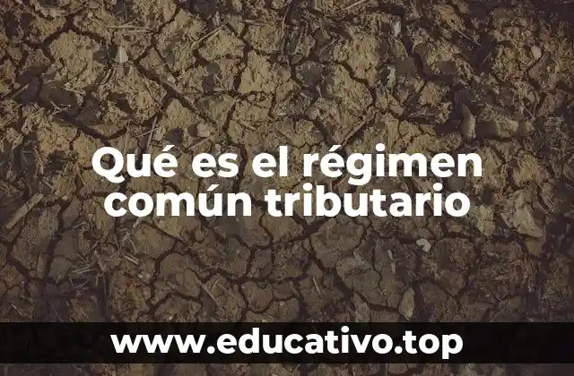 Qué es el régimen común tributario