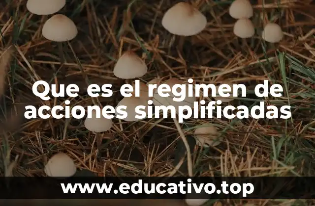 Que es el regimen de acciones simplificadas