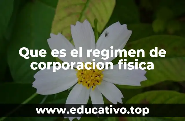 Que es el regimen de corporacion fisica