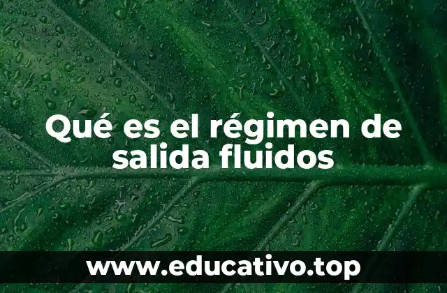 Qué es el régimen de salida fluidos