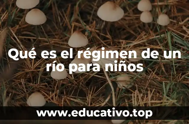 Qué es el régimen de un río para niños