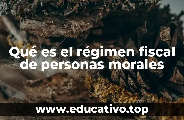 Qué es el régimen fiscal de personas morales