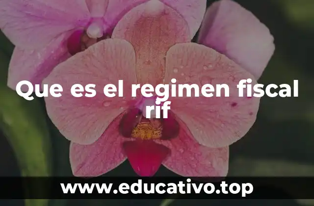 Que es el regimen fiscal rif