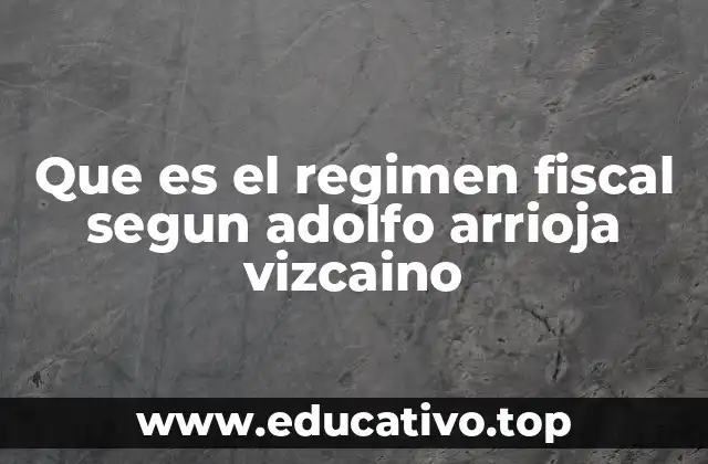 Que es el regimen fiscal segun adolfo arrioja vizcaino