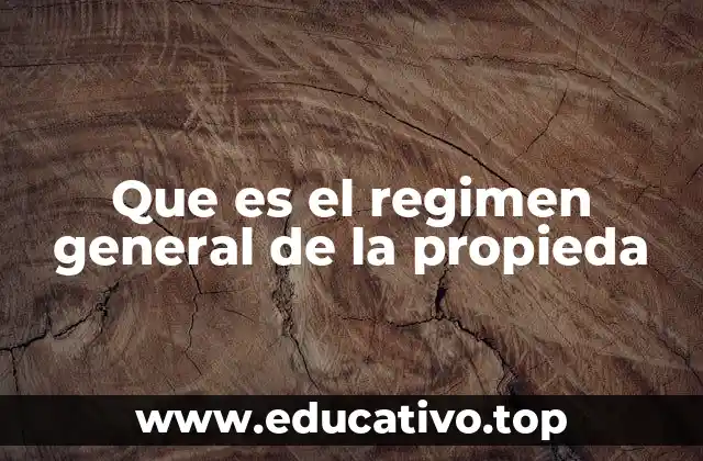 Que es el regimen general de la propieda