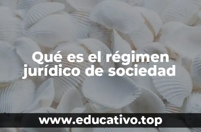 Qué es el régimen jurídico de sociedad