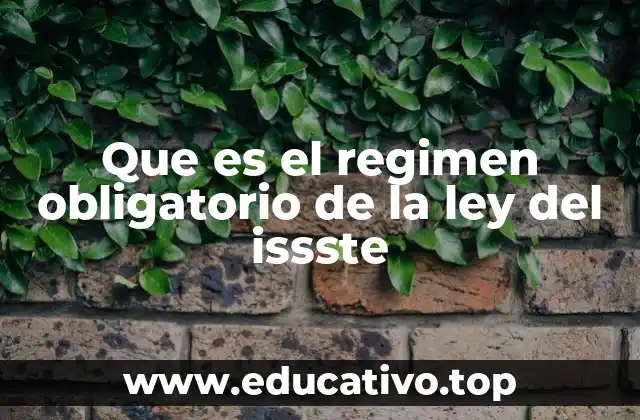El funcionamiento del régimen obligatorio del ISSSTE