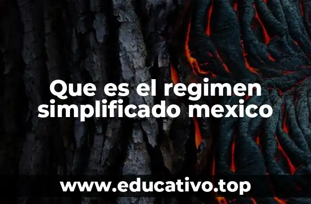 Características generales del régimen simplificado