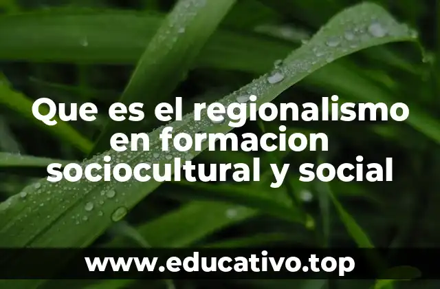 Que es el regionalismo en formacion sociocultural y social