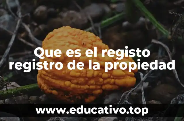 Que es el registo registro de la propiedad