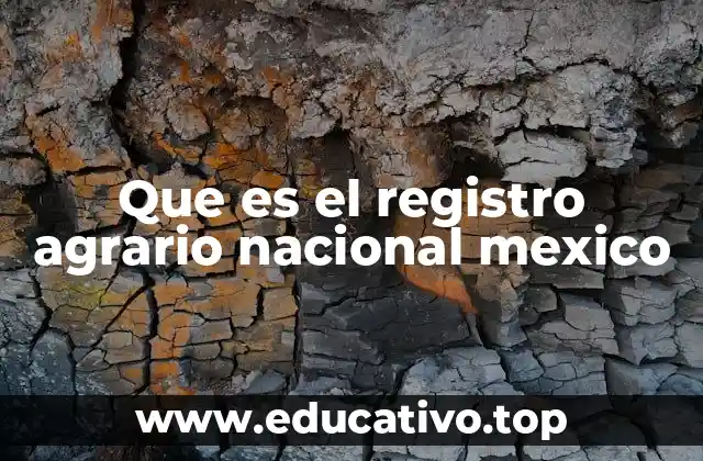 Que es el registro agrario nacional mexico