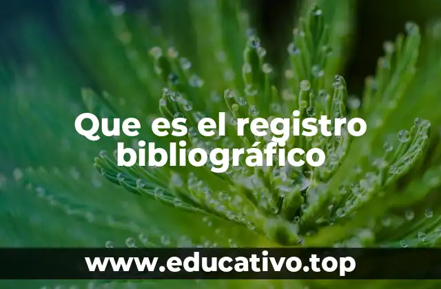 Que es el registro bibliográfico
