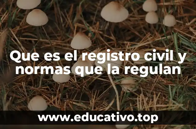 Que es el registro civil y normas que la regulan