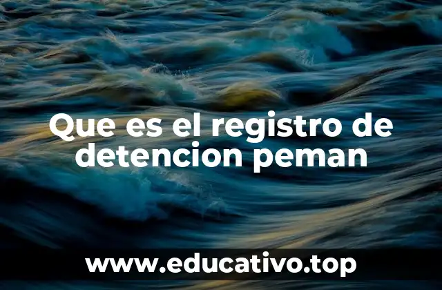 Que es el registro de detencion peman