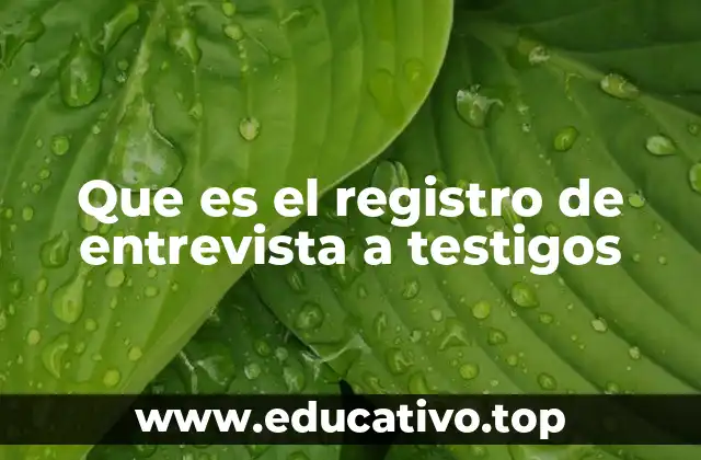 El papel del testimonio en la justicia