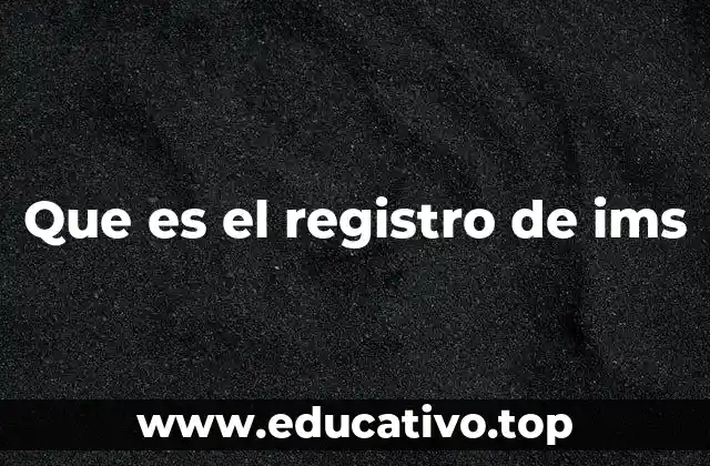 Que es el registro de ims