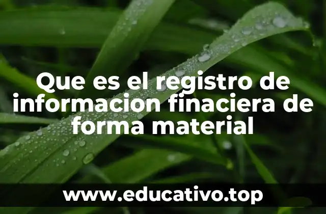 Que es el registro de informacion finaciera de forma material
