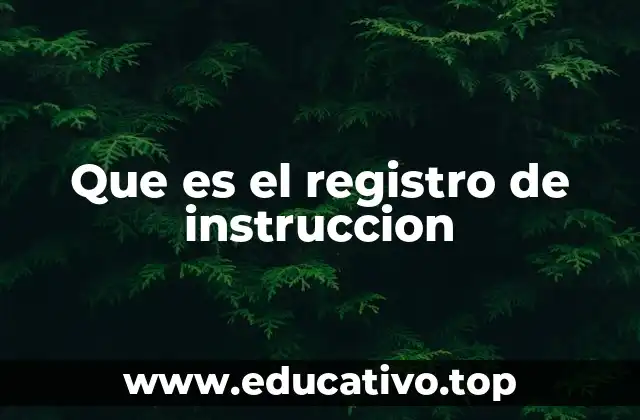 Que es el registro de instruccion