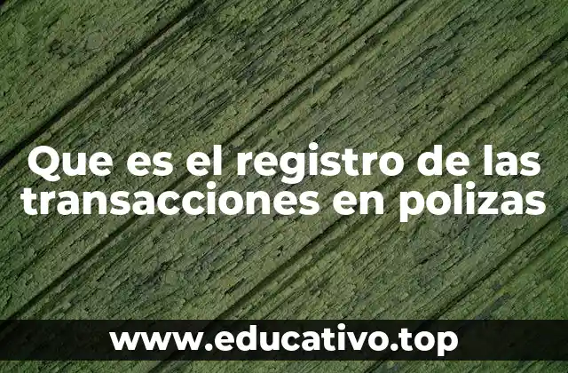 Que es el registro de las transacciones en polizas