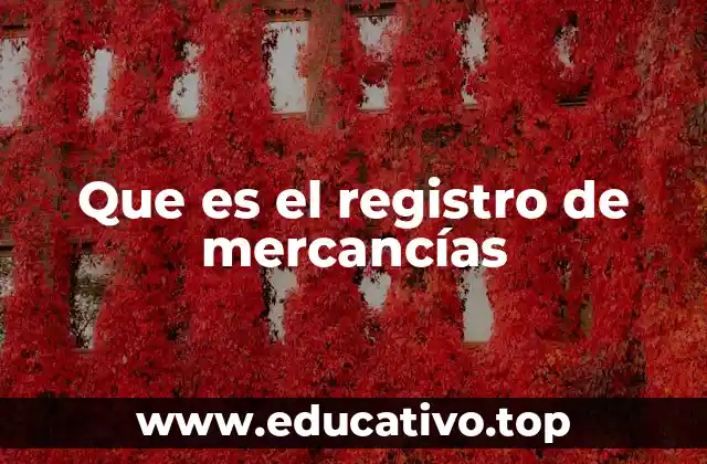Que es el registro de mercancías