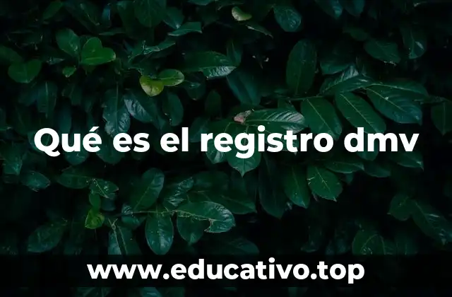 Qué es el registro dmv