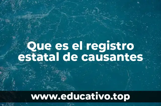 El papel del Registro Estatal en el sistema tributario