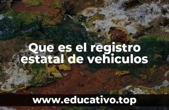 Que es el registro estatal de vehiculos