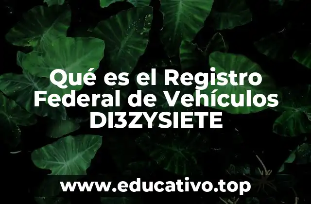 Qué es el Registro Federal de Vehículos DI3ZYSIETE