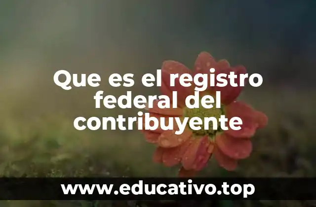 Que es el registro federal del contribuyente