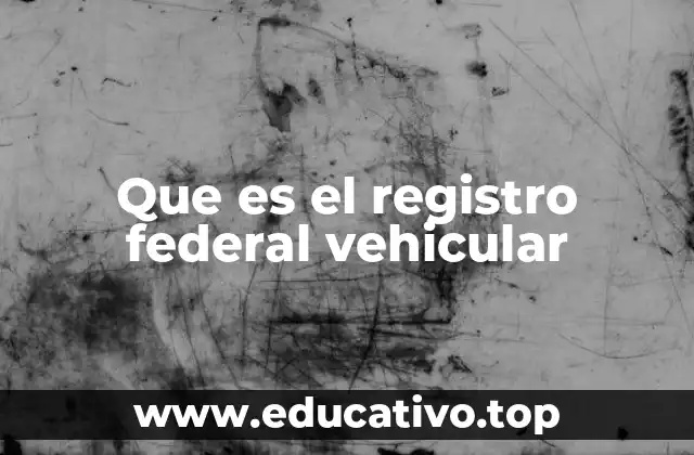 Que es el registro federal vehicular