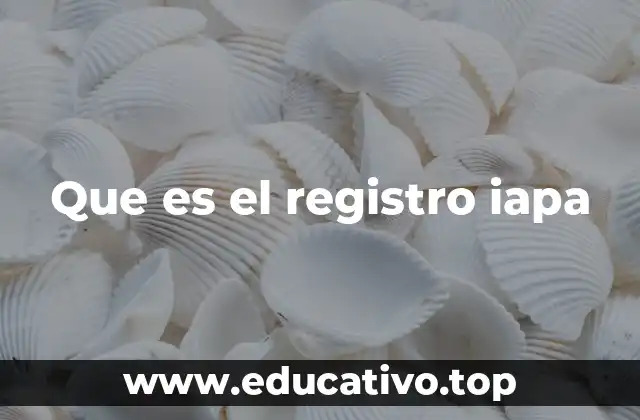Que es el registro iapa