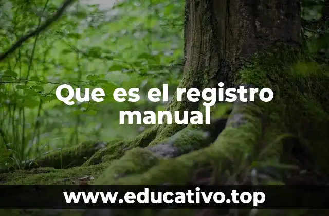Que es el registro manual