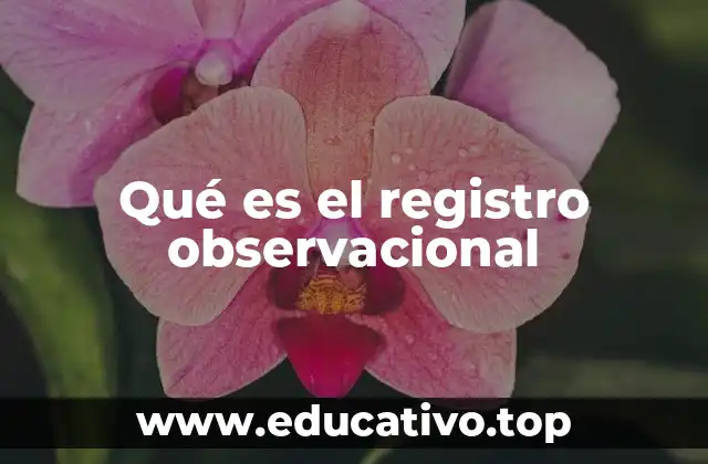 Qué es el registro observacional
