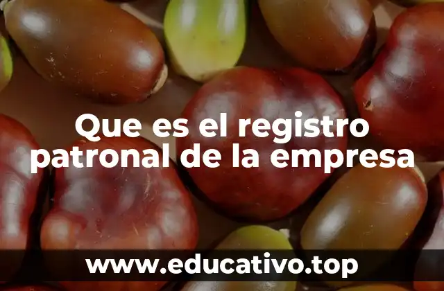 Que es el registro patronal de la empresa