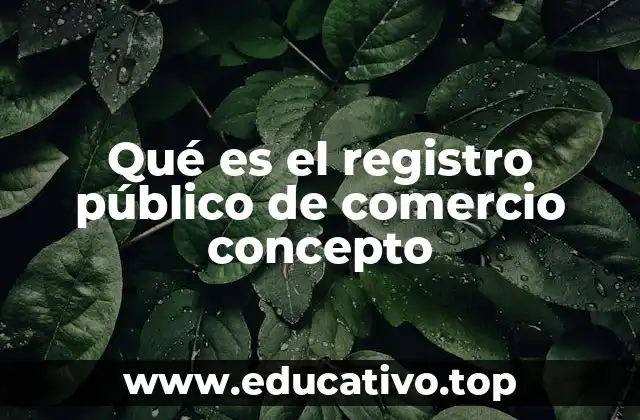 Qué es el registro público de comercio concepto