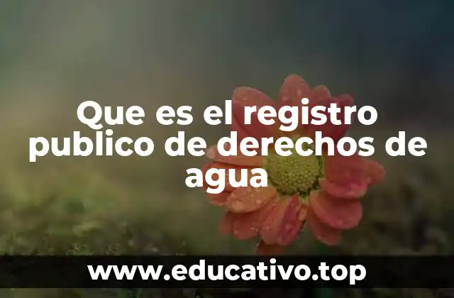 Que es el registro publico de derechos de agua