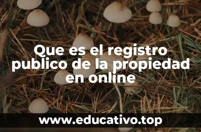 Que es el registro publico de la propiedad en online