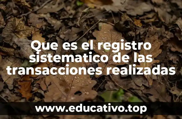 Que es el registro sistematico de las transacciones realizadas