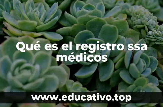 Qué es el registro ssa médicos