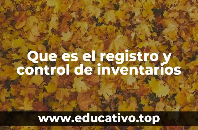 Que es el registro y control de inventarios