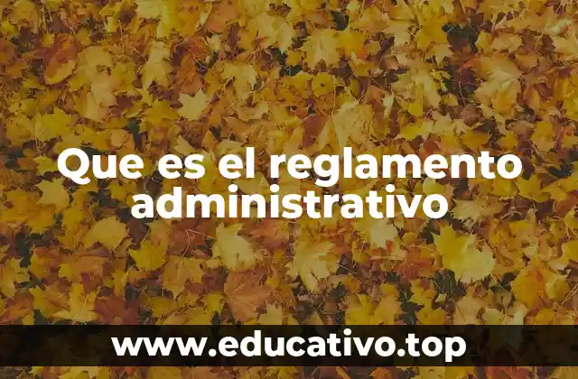 Que es el reglamento administrativo
