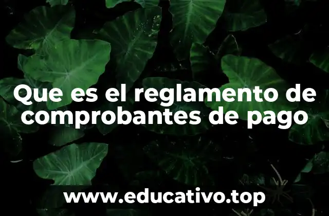 Que es el reglamento de comprobantes de pago