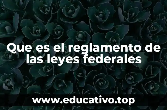 Que es el reglamento de las leyes federales