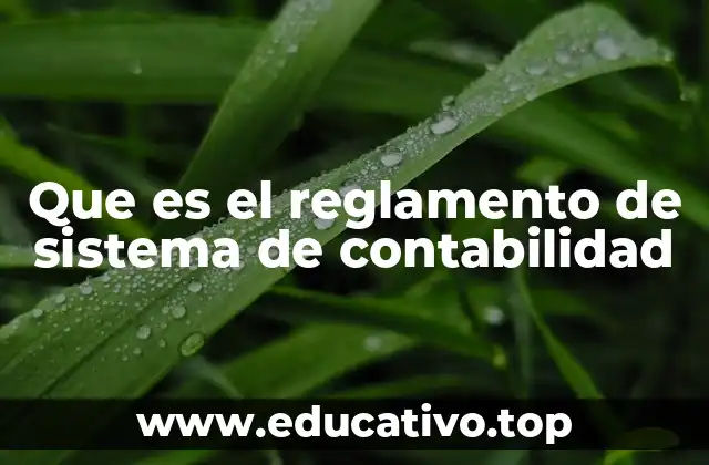 Que es el reglamento de sistema de contabilidad