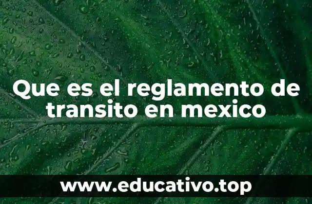 Que es el reglamento de transito en mexico