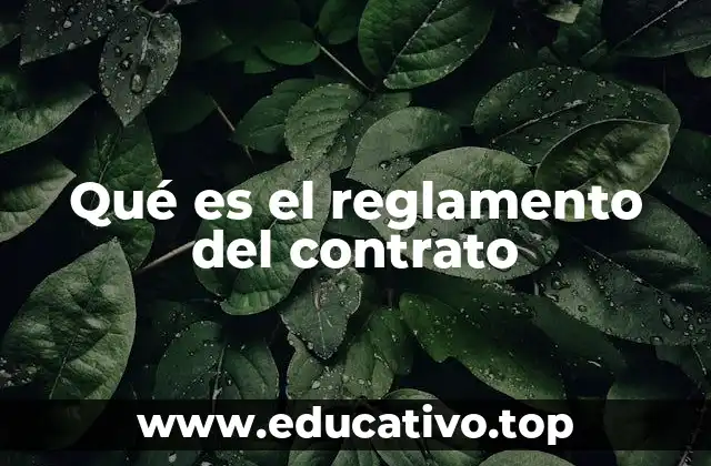 Qué es el reglamento del contrato